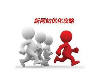 新网站优化