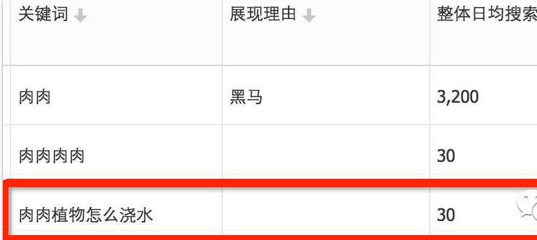 关键词优化