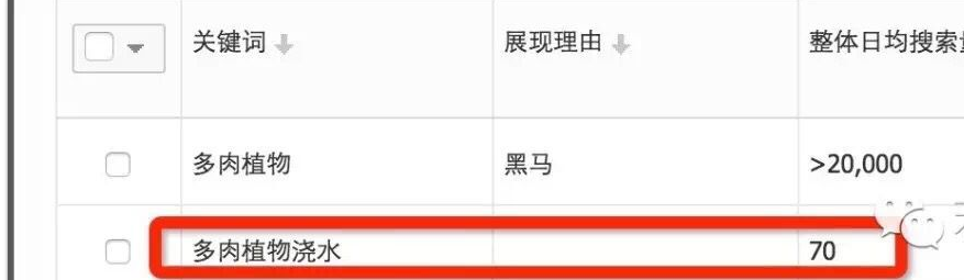 关键词优化