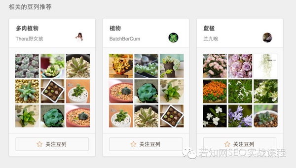 优化排名